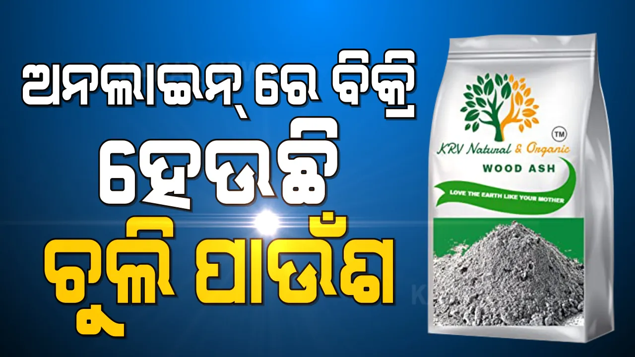  ଅନଲାଇନ୍ ରେ ବିକ୍ରି ହେଉଛି ଚୁଲି ପାଉଁଶ । ଦାମ୍ ଜାଣିଲେ ହୋଇଯିବେ ଚକିତ । ଜାଣନ୍ତୁ ପାଉଁଶକୁ ନେଇ କ’ଣ କରୁଛନ୍ତି ଇ-କମର୍ସ କମ୍ପାନୀ