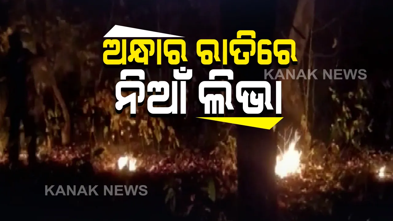  ନିଆଁକୁ ନିୟନ୍ତ୍ରଣ କରିବା ପାଇଁ ଯୁଦ୍ଧକାଳୀନ ଭିତରେ ଚାଲିଛି କାମ : ବନ ବିଭାଗ, ଓଡ୍ରାମ୍ ଟିମ୍ ଏବଂ ଅଗ୍ନିଶମ ବିଭାଗର ମିଳିତ ଉଦ୍ୟମରେ ଶିମିଳିପାଳରେ ଚାଲିଛି ନିଆଁ ଲିଭା