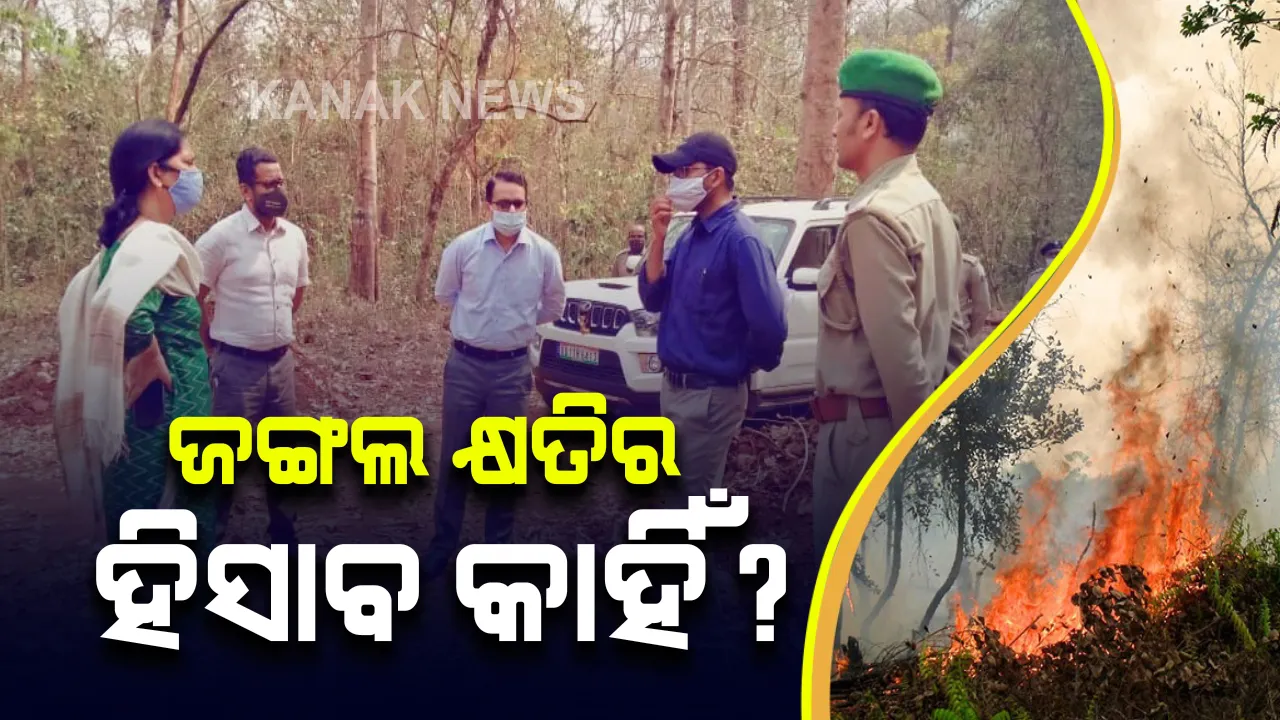  ଶିମିଳିପାଳରେ ସ୍ଥିତି ଅନୁଧ୍ୟାନ କଲା କେନ୍ଦ୍ରୀୟ ଟିମ୍ : କହିଲେ ଜଙ୍ଗଲ ନିଆଁ ରହିଛି ନିୟନ୍ତ୍ରଣରେ, ବନାଗ୍ନିରେ ବାଘଙ୍କର ହୋଇନାହିଁ କ୍ଷତି