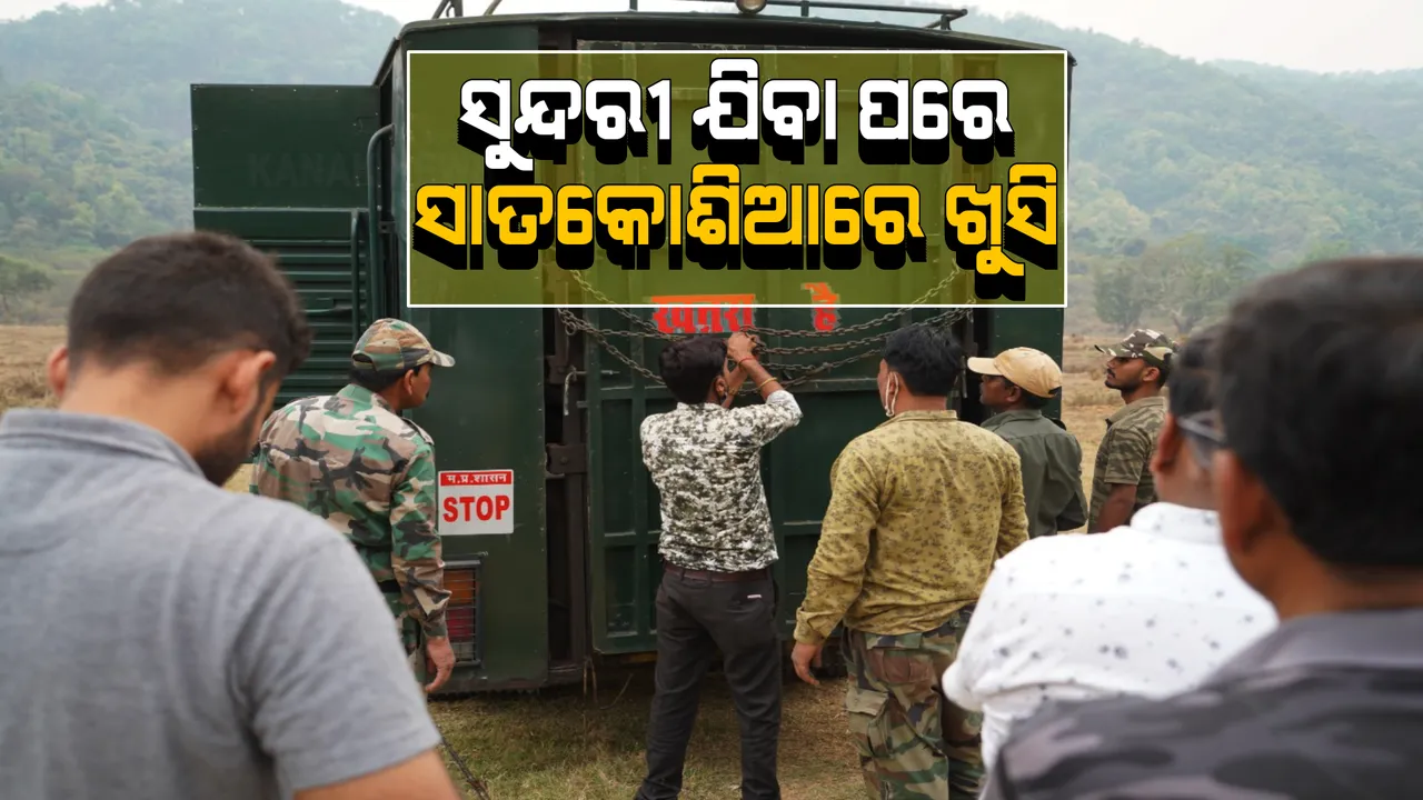  ସାତକୋଶିଆରୁ ମଧ୍ୟପ୍ରଦେଶ ଫେରିଲା ବାଘୁଣୀ ସୁନ୍ଦରୀ । ସ୍ଥାନୀୟ ଅଂଚଳର ଲୋକଙ୍କ ଭିତରେ ଦେଖିବାକୁ ମିଳିଲା ଖୁସିର ମାହୋଲ ।