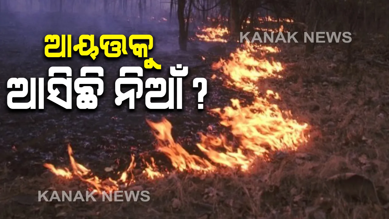  ଶିମିଳିପାଳକୁ ନେଇ ସତ କ'ଣ ? ପରିବେଶବିତ୍ ରଖିଲେ ଭିନ୍ନ ମତ; ଠାକୁରମୁଣ୍ଡା ଓ ପୋଡାଡିହାରେ ସର୍ବାଧିକ ପ୍ରଭାବିତ