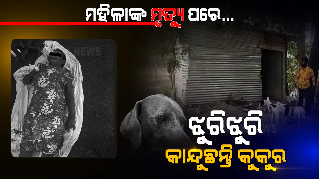  ଆକସ୍ମିତ ମୃତ୍ୟୁ ପରେ ମହିଳାଙ୍କୁ ଝୁରୁଛନ୍ତି କୁକୁର, ଶବପାଖେ ଜଗି ବସିଛନ୍ତି । ସମ୍ବଲପୁରରୁ ଆସିଲା ପଶୁ-ମଣିଷର ପ୍ରୀତିଭରା ସମ୍ପର୍କ