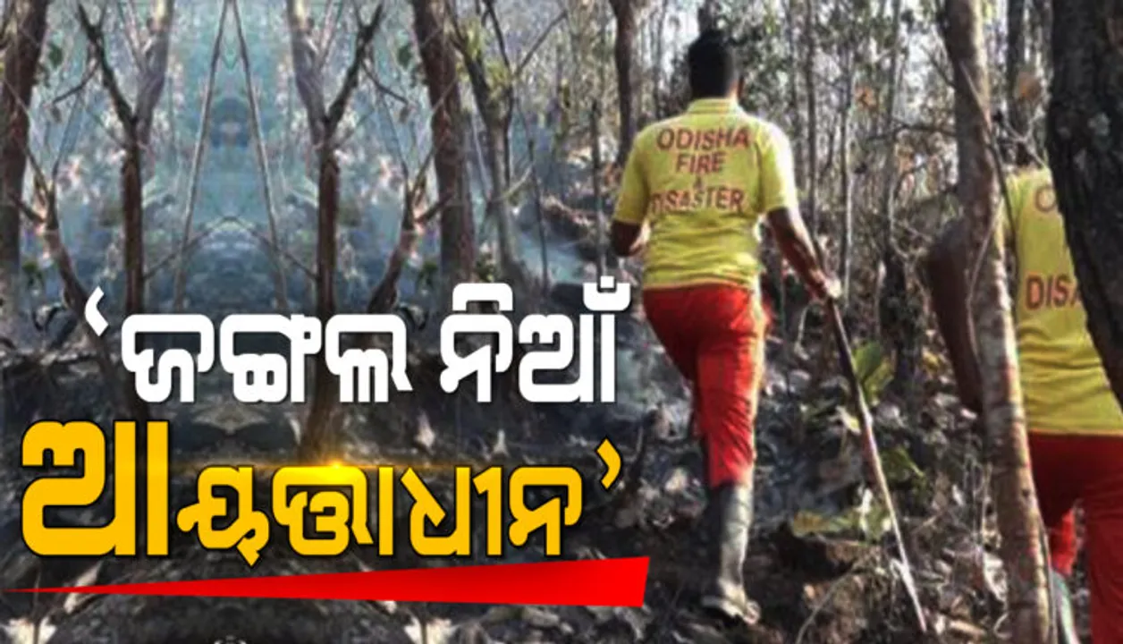  ରାଜ୍ୟରେ ଜଙ୍ଗଲ ନିଆଁ ଆୟତ୍ତାଧୀନ । ବନାଗ୍ନି ବିସ୍ତାର ରୋକିବା ପାଇଁ ସତର୍କ ରହିବାକୁ ନିର୍ଦ୍ଦେଶ ।