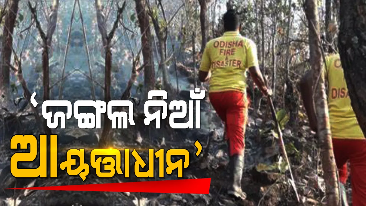  ଫରେଷ୍ଟ ଟାସ୍କ ଫୋର୍ସ ପକ୍ଷରୁ ଦିଆଗଲା ରିପୋର୍ଟ । ଶିମିଳିପାଳ ସମେତ ରାଜ୍ୟରେ ଜଙ୍ଗଲ ନିଆଁ ଆୟତ୍ତାଧୀନ ।