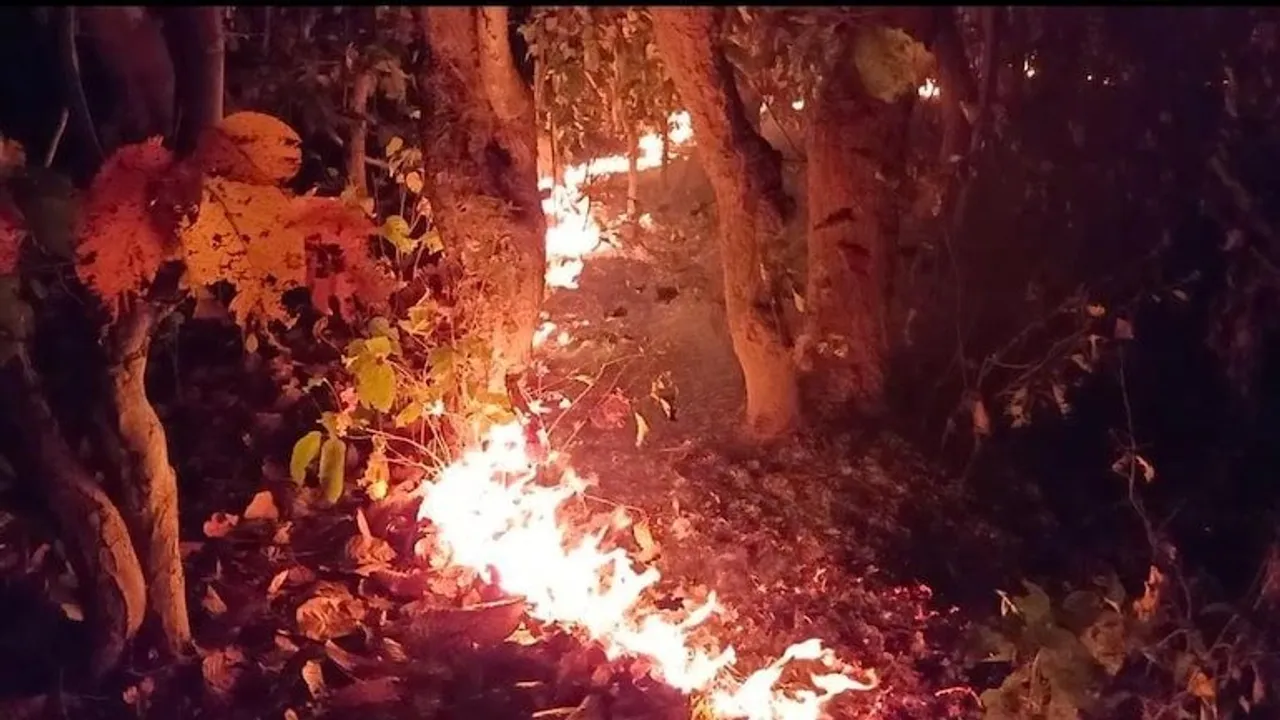  ଜଙ୍ଗଲରେ ନିଆଁ ଲଗାଇଲେ ହେବେ ଗିରଫ । କଡ଼ା ନିର୍ଦ୍ଦେଶ ଜାରି କଲେ ସମ୍ବଲପୁର ଡିଏଫଓ
