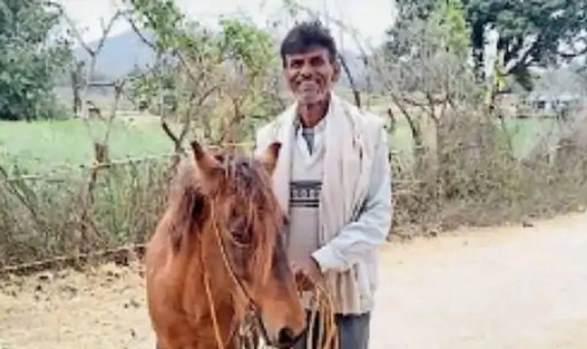  ବୀରବଲଙ୍କ ଭଳି ବୁଦ୍ଧି ପାଞ୍ଚିଲେ ସରପଞ୍ଚ, ଚାରି ଦାବିଦାରଙ୍କ ମଧ୍ୟରୁ ପ୍ରକୃତ ମାଲିକକୁ ମିଳିଲା ଘୋଡା ।