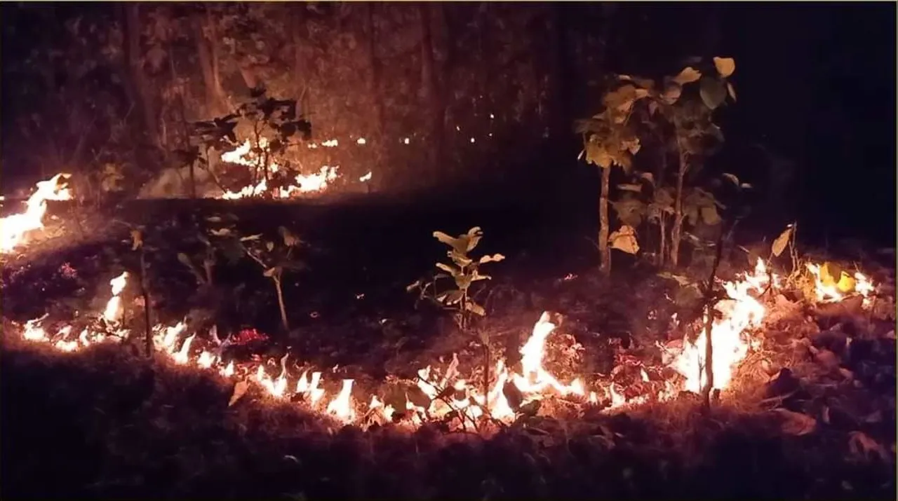  ୨୭୪୫ ବର୍ଗ କିଲୋମିଟର ଅଂଚଳରେ ବ୍ୟାପିଛି ଶିମିଳିପାଳ । ବିଶେଷଜ୍ଞ କହିଲେ, ହଜାରେ କି ଦୁଇ ହଜାର କର୍ମଚାରୀରେ ନିଆଁ ଲିଭାଇବା ସହଜ ନୁହେଁ ।
