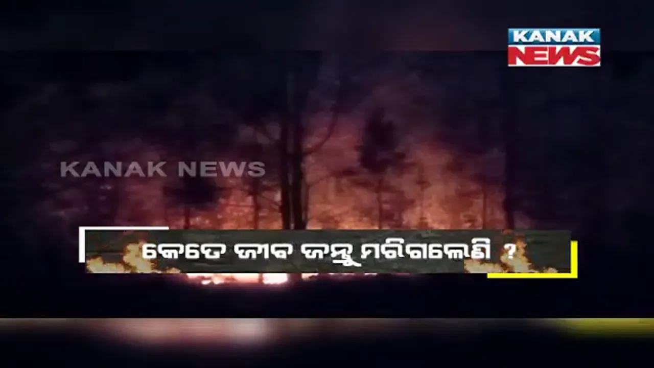  ନିୟନ୍ତ୍ରଣରେ ଅଛି କି ଶିମିଳିପାଳର ନିଆଁ ? ପ୍ରଶାସନର ପଦକ୍ଷେପ ଭିତରେ ପ୍ରଶ୍ନ ଉଠାଇଥିଲେ ବିଶେଷଜ୍ଞ ।