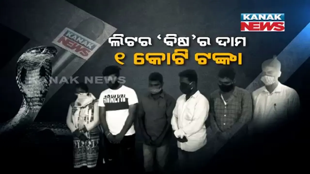  ଧରାପଡ଼ିଲା କୋଟିଏ ଟଙ୍କାରୁ ଅଧିକ ମୂଲ୍ୟର ସାପ ବିଷ । କନକ ନ୍ୟୁଜ୍ ସାମ୍ବାଦିକ ସାପ ବିଷ ରାକେଟର କଲେ ପର୍ଦ୍ଦାଫାସ 