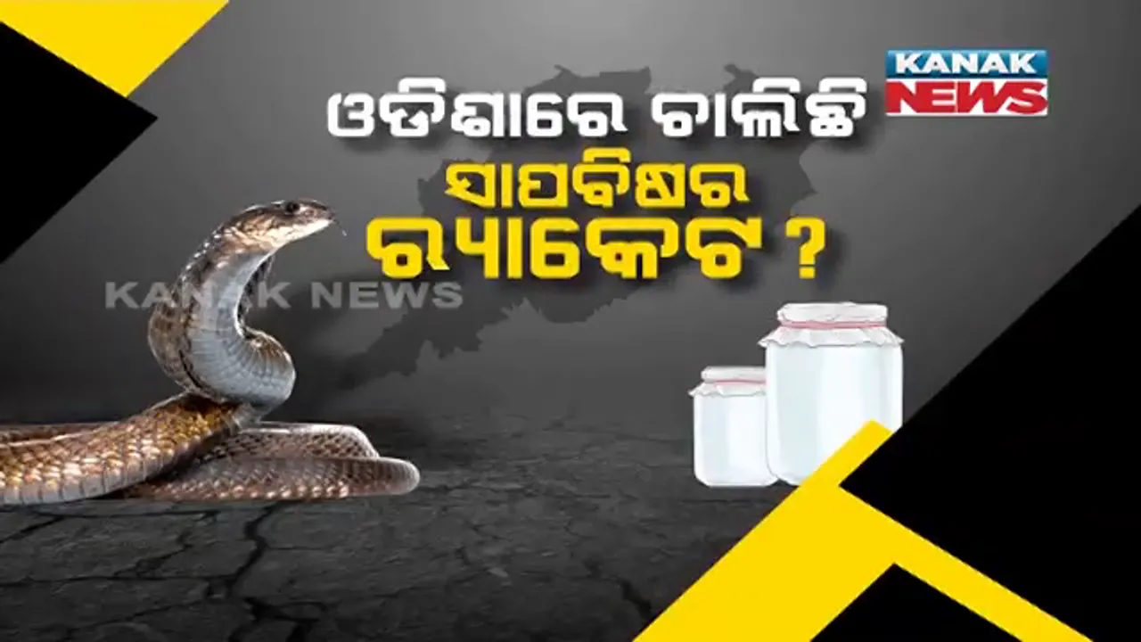  ଓଡିଶାରେ ଚାଲିଛି ସାପବିଷର ରାକେଟ । କେଉଁଠୁ ଆସୁଛି, କୁଆଡେ ଯାଉଛି, ମାଷ୍ଟରମାଇଣ୍ଡ କିଏ ମିଳୁନି ଉତ୍ତର...