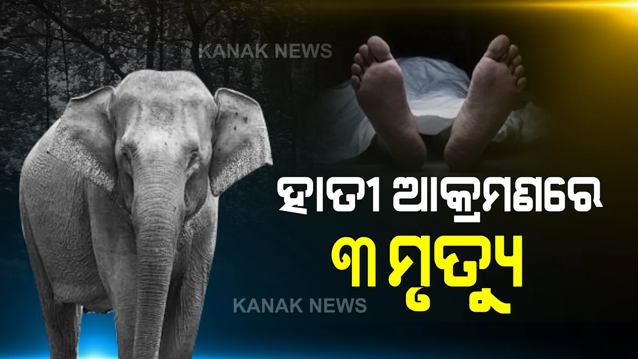  ପଦ୍ମପୁର ରେଞ୍ଜ ଅଧିନ ରାଇସଲପଦର ପଞ୍ଚାୟତରେ ହାତୀ ଆତଙ୍କ : ହାତୀ ଆକ୍ରମଣରେ ଗଲା ତିନିଜଣଙ୍କ ଜୀବନ