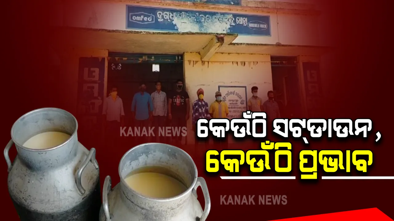  ସଟଡାଉନ ପାଇଁ ନବରଙ୍ଗପୁରରେ କ୍ଷୀର ବିକ୍ରି କରିପାରିଲେନି ଚାଷୀ । ସେପଟେ ଗାଁରେ ପଡ଼ିଲା ସହର ସଟଡାଉନର ପ୍ରଭାବ । 