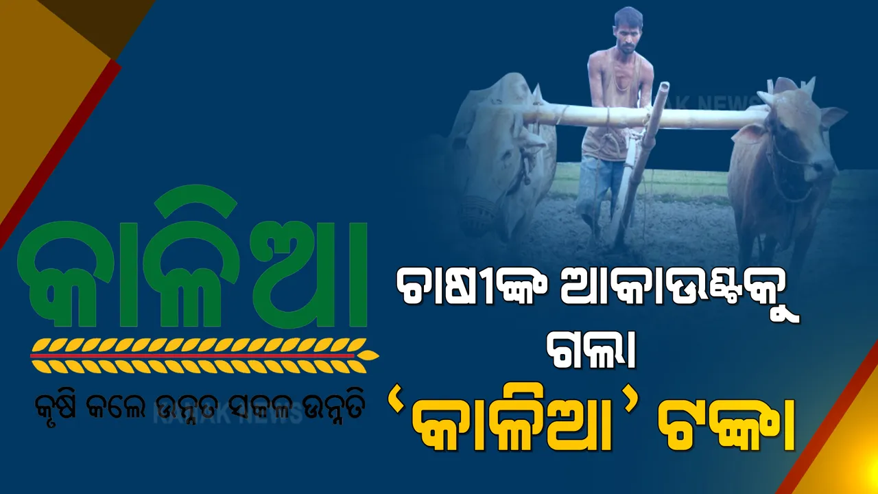  ଚାଷୀ କଲ୍ୟାଣ କାର୍ଯ୍ୟକ୍ରମରୁ ନୂଆ ଆର୍ଥିକ ବର୍ଷ ଆରମ୍ଭ । ୩୪ ଲକ୍ଷରୁ ଅଧିକ ଚାଷୀଙ୍କ ପାଖକୁ ଗଲା ୬୯୩.୯୪ କୋଟି କାଳିଆ ଟଙ୍କା ।