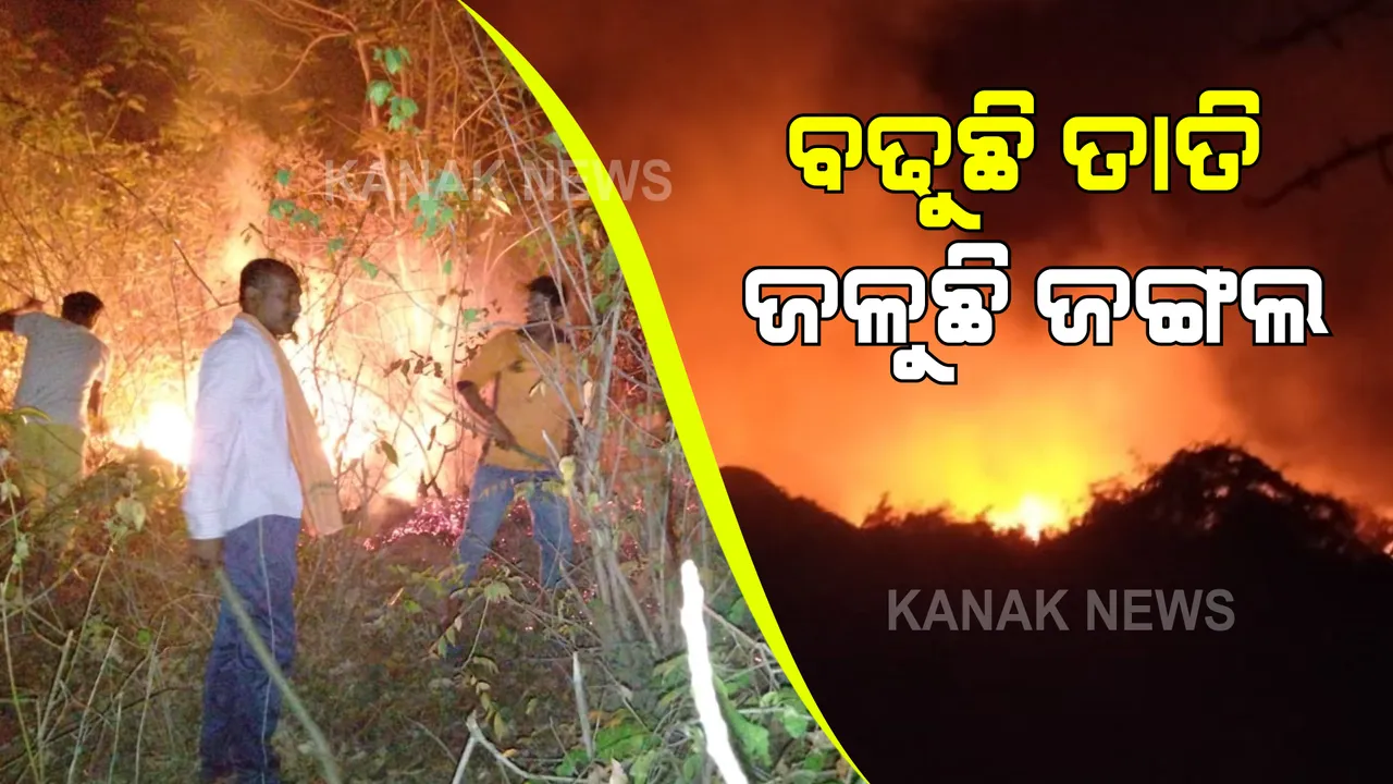 ବଢୁଛି ତାତି ଜଳୁଛି ଜଙ୍ଗଲ : ରାଜ୍ୟର ପ୍ରସିଦ୍ଧ ଶୈବପୀଠ ପଂଚଲିଙ୍ଗେଶ୍ୱର ମନ୍ଦିର ଥିବା ଦେବଗିରି ପାହାଡରେ ଲାଗିଛି ନିଆଁ