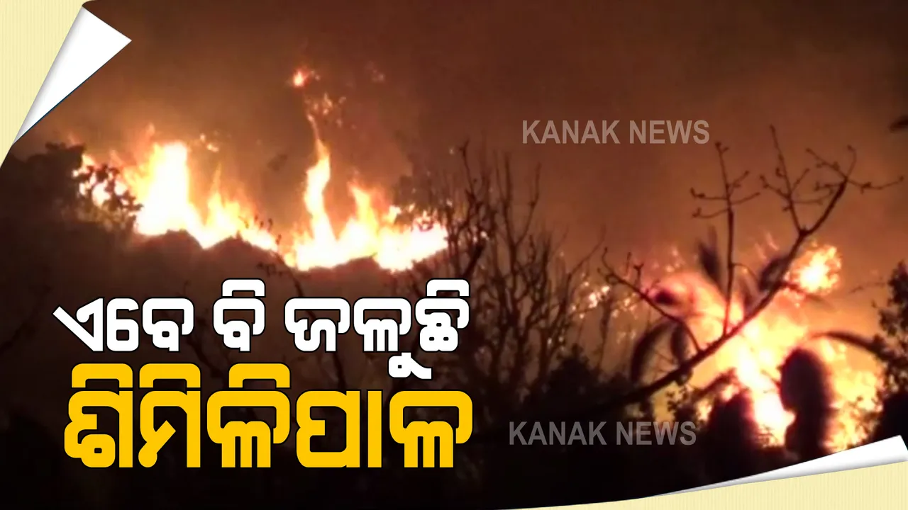  ଏବେ ବି ଜଳୁଛି ଶିମିଳିପାଳ : ବ୍ୟାଘ୍ର ସଂରକ୍ଷଣ ପ୍ରକଳ୍ପର ୪୭ଟି ସ୍ଥାନରେ ଲାଗିଛି ନିଆଁ, ନାସାର ସାଟେଲାଇଟ ଚିତ୍ରରୁ ସ୍ପଷ୍ଟ