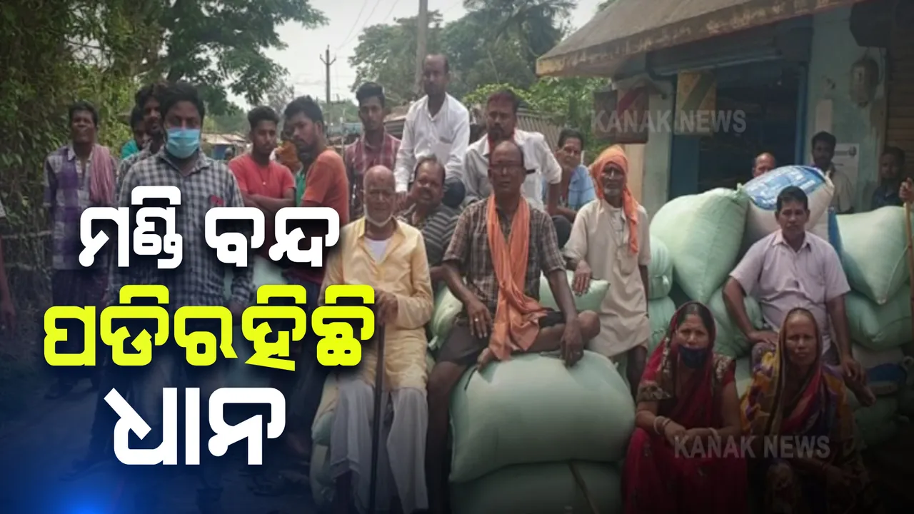  ବନ୍ଦ ହୋଇଗଲା ମଣ୍ଡି : ହେଲେ ଧାନ ବିକି ପାରିଲେ ନାହିଁ ଚାଷୀ; ଜଗତସିଂହପୁର ଜିଲ୍ଲାରେ ବଢ଼ୁଛି ଚାଷୀ ଅସନ୍ତୋଷ