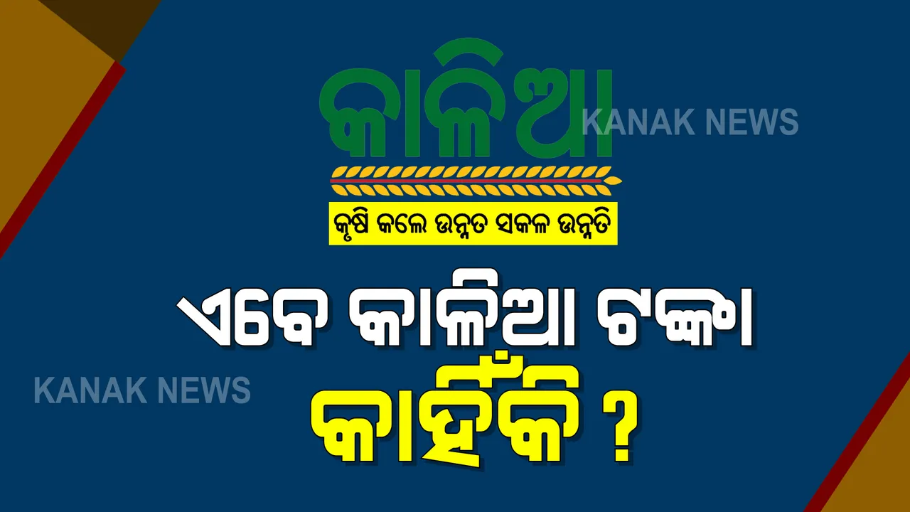  କାଳିଆ ଟଙ୍କାକୁ ନେଇ ପୁଣି ତେଜିଲା ରାଜନୈତିକ କଳି : ବିରୋଧୀ କହିଲେ ପଂଚାୟତ ଓ ପିପିଲି ଉପନିର୍ବାଚନକୁ ଦେଖି ଚାଷୀଙ୍କ ଖାତାକୁ ଟଙ୍କା ପଠାଇଛନ୍ତି ସରକାର