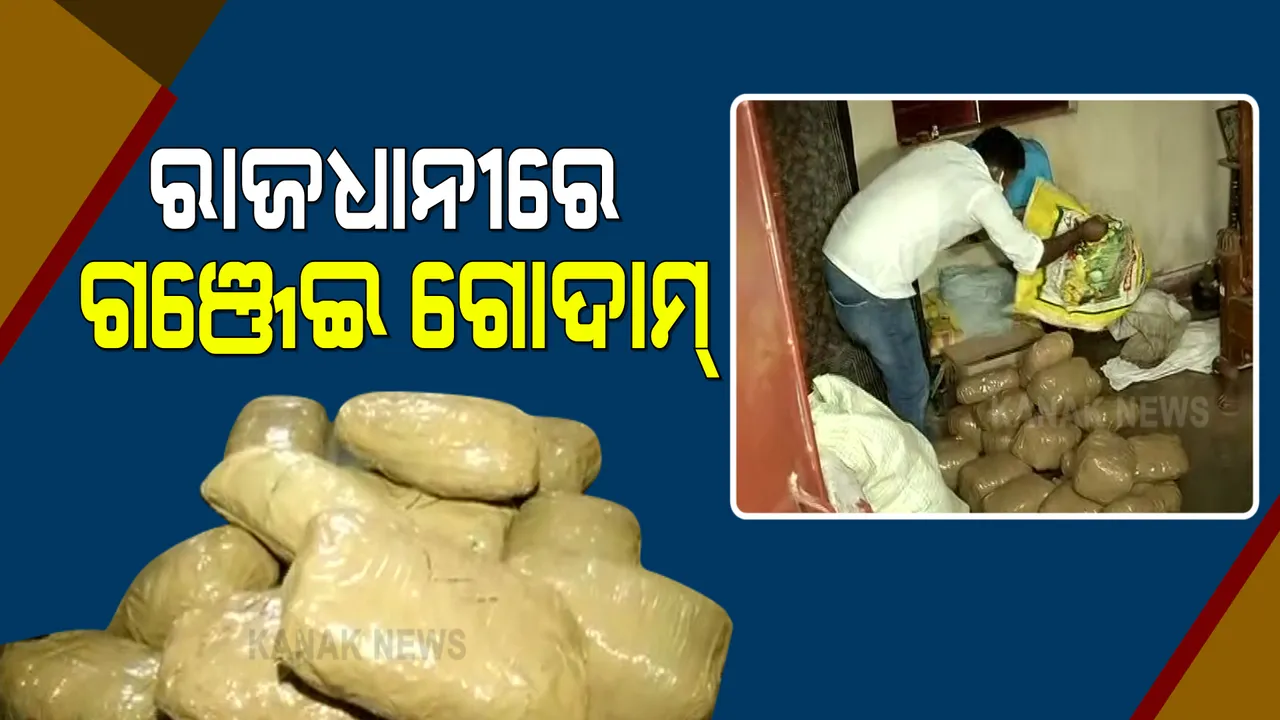  ରାଜଧାନୀର ଭଡା ଘରେ ଗଂଜେଇ ଗୋଦାମ୍ : ବହୁ ପରିମାଣର ଗଂଜେଇ ଜବତ କଲା ସ୍ପେଶାଲ ସ୍କ୍ୱାର୍ଡ; ଘଟଣାରେ ୫ଜଣଙ୍କୁ ଗିରଫ କଲା ପୋଲିସ