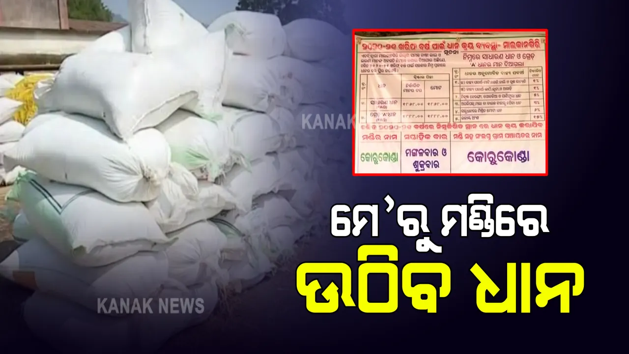  ମେ' ପ୍ରଥମ ସପ୍ତାହରୁ ସଂଗ୍ରହ ହେବ ରବିଧାନ : କରୋନା କଟକଣା ମାନି ମଣ୍ଡିରେ ଧାନ ଉଠାଇବାକୁ ଖାଦ୍ୟ ଯୋଗାଣ ମନ୍ତ୍ରୀଙ୍କ ନିର୍ଦ୍ଦେଶ