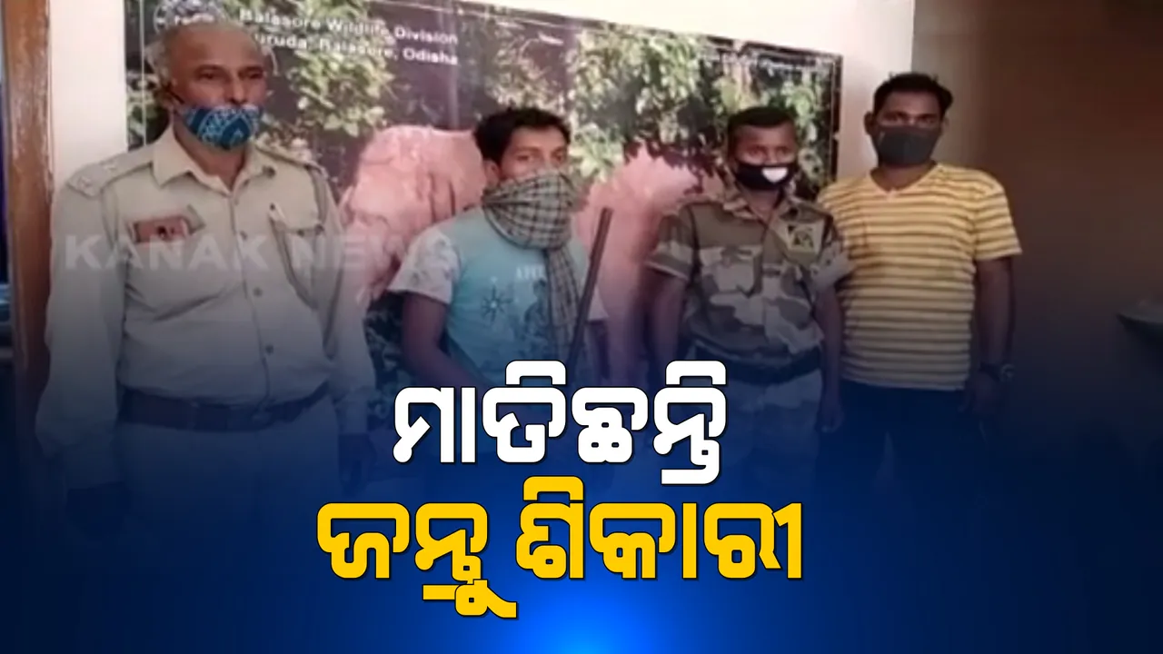  ବାଲେଶ୍ୱର କୁଳଡିଆ ଅଭୟାରଣ୍ୟରୁ ଜଣେ ଶିକାରୀ ଗିରଫ । ଦେଶୀ ବନ୍ଧୁକ ସହ ମୃତ ସମ୍ବର ଜବତ । ବନ ବିଭାଗର ଚଢାଉ ବେଳେ ୨ ଶିକାରୀ ଫେରାର ।