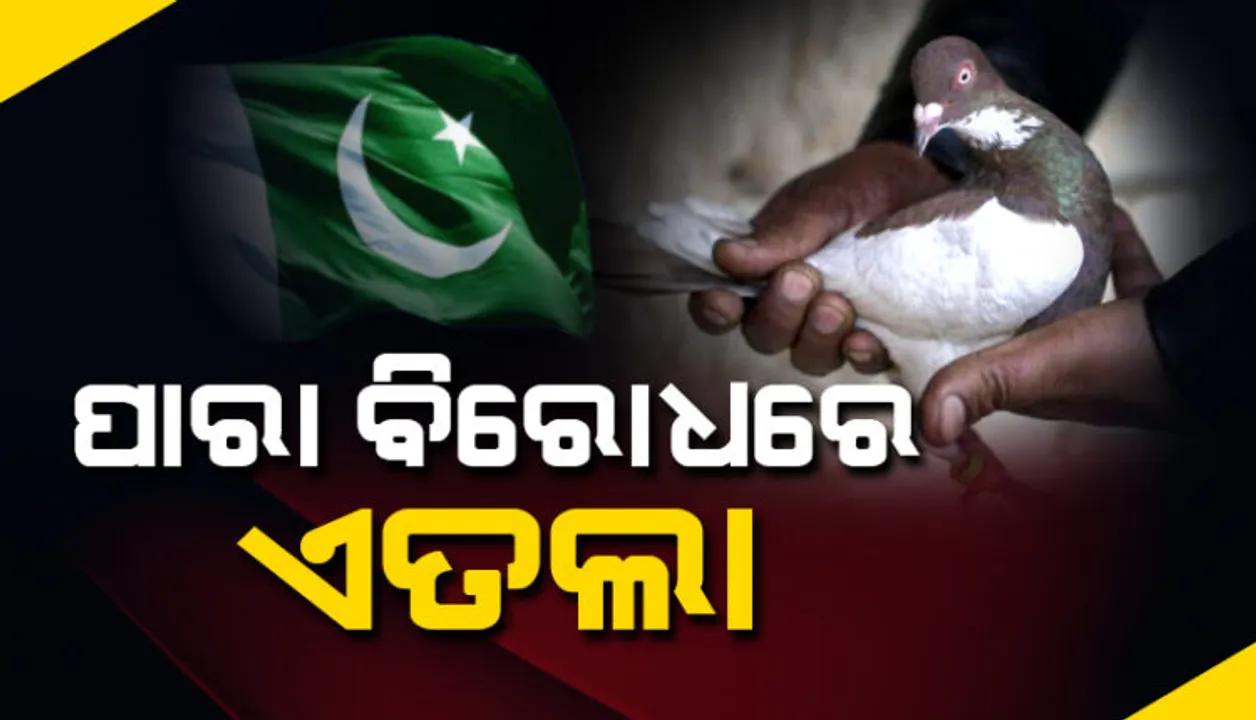  ପାକିସ୍ତାନ ସୀମାନ୍ତରେ ଧରାପଡିଥିଲା ସନ୍ଦିଗ୍ଧ ପାରା, ଗୋଡରେ ଲାଗିଥିଲା ଧଳା କାଗଜ । ଏବେ ପାରା ବିରୋଧରେ ହେଲା ମାମଲା ।