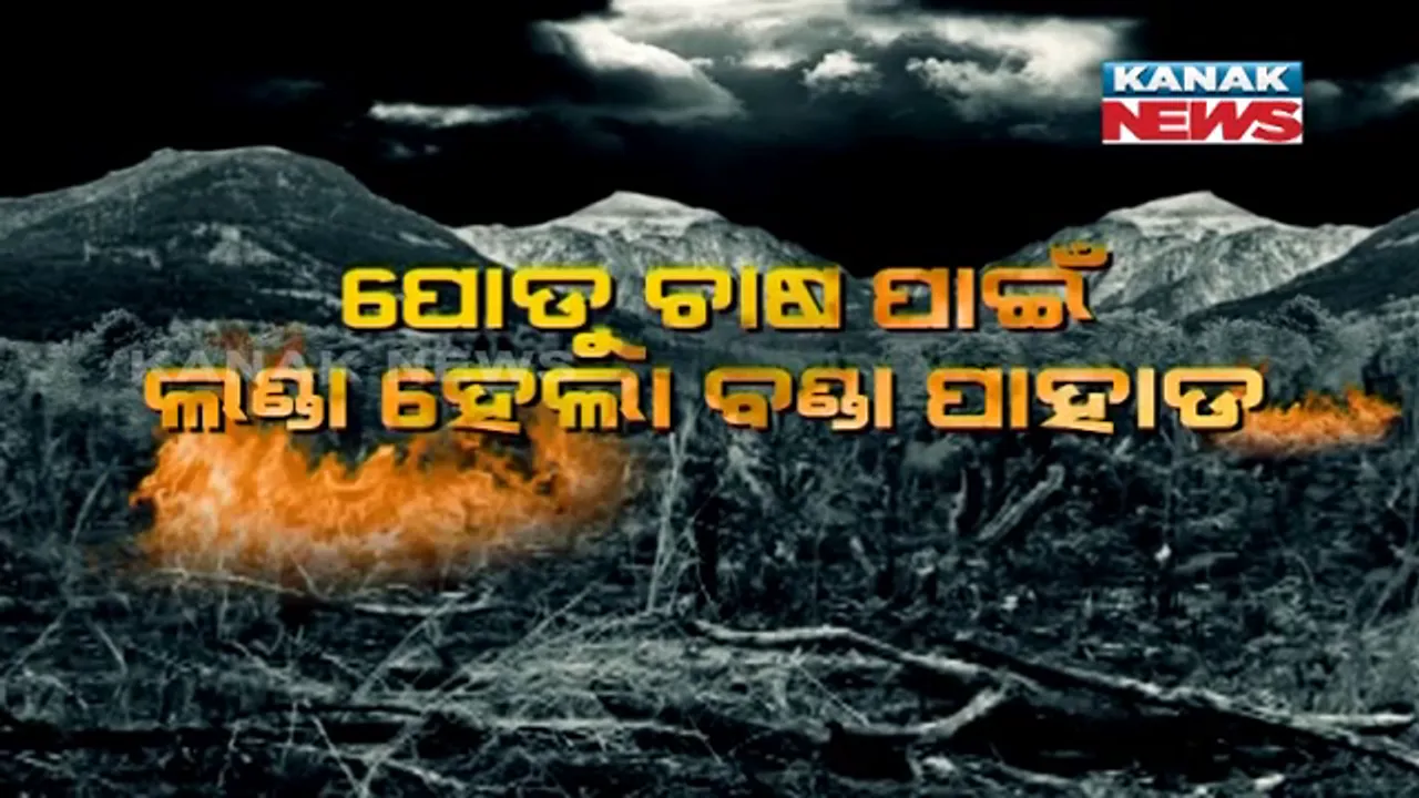  ଲଣ୍ଡା ହୋଇଯାଉଛି ମାଲକାନଗିରିର ବଣ୍ଡାଘାଟି ପାହାଡ । ପୋଡୁ ଚାଷ ପାଇଁ ଜଙ୍ଗଲ ଜଳାଉଛନ୍ତି ସ୍ଥାନୀୟ ବାସିନ୍ଦା ।