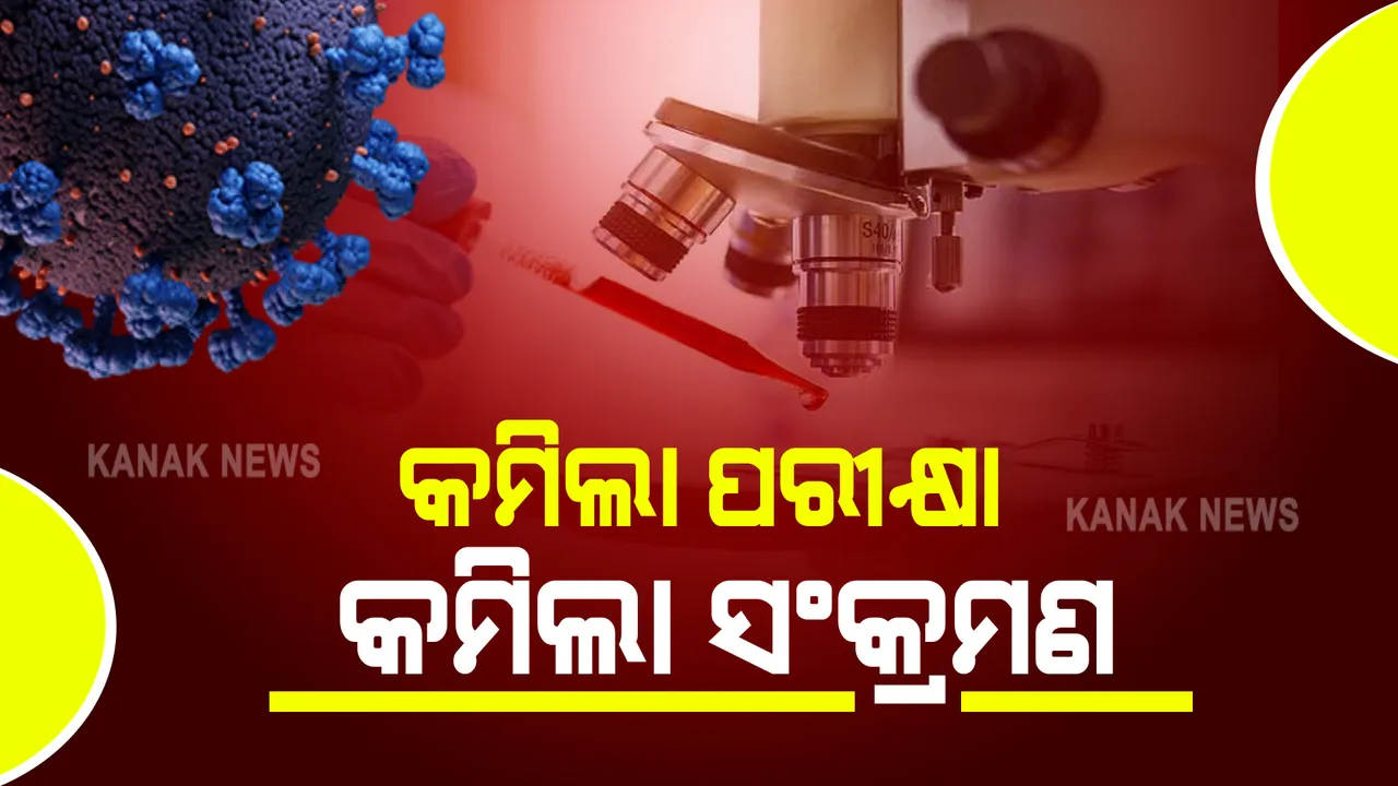  ରାଜ୍ୟରେ ୨୪ ଘଂଟାରେ ୪୩,୭୬୮ଟି ନମୁନା ପରୀକ୍ଷା : ଚିହ୍ନଟ ହେଲେ ୭୨୧୬ ନୂଆ ସଂକ୍ରମିତ; କଟକରୁ ସର୍ବାଧିକ ୧୦୯୧ ଆକ୍ରାନ୍ତ, ଖୋର୍ଦ୍ଧାରୁ ୮୦୯