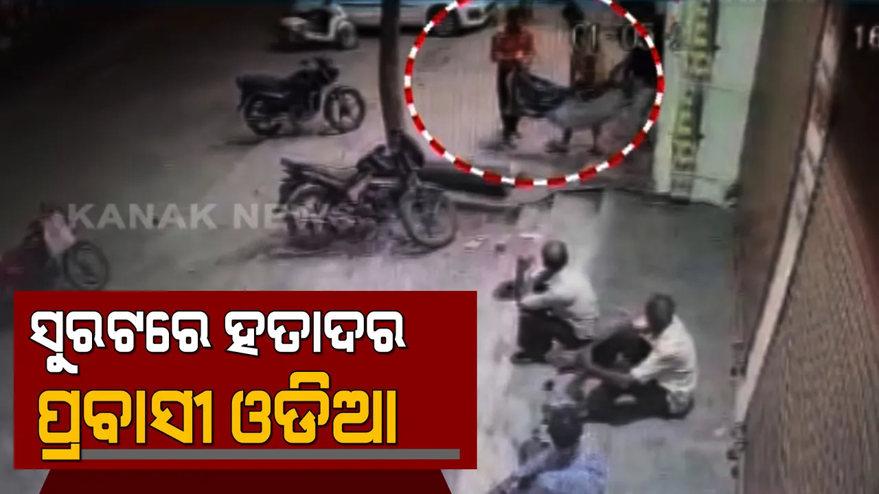  ସମ୍ବେଦନହୀନତାର ସବୁ ସୀମା ଟପିଗଲେ ହସ୍ପିଟାଲ କର୍ତୃପକ୍ଷ : ସୁରଟ ପ୍ରିୟା ହସ୍ପିଟାଲରେ ପ୍ରବାସୀ ଓଡିଆଙ୍କ ଦେହାନ୍ତ ପରେ ରାସ୍ତାରେ ରଖିଦେଇ ଗଲେ ଶବ
