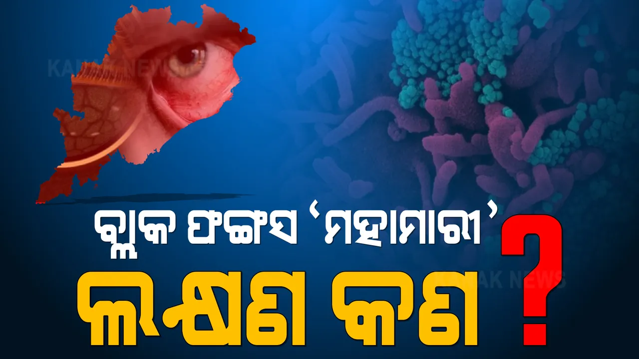  ବ୍ଲାକ୍ ଫଙ୍ଗସକୁ ମହାମାରୀ ଘୋଷଣା କଲେ ରାଜ୍ୟ ସରକାର । ଜାଣନ୍ତୁ, ଏହାର ଲକ୍ଷଣ ଓ କିପରି କରିବେ ମୁକାବିଲା?