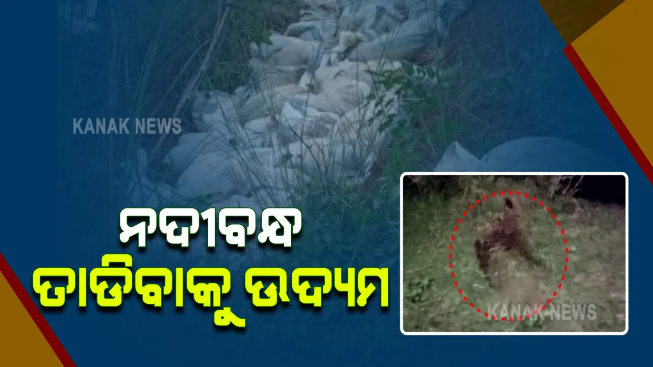  ଠିକା କାମ ପାଇଁ ବୈତରଣୀ ନଦୀବନ୍ଧକୁ ତାଡି ଦେଇଥିବା ଅଭିଯୋଗ : ଗାଁ ଲୋକେ ପହଂଚିବା ପରେ ବାଲିବସ୍ତା ପକାଇ ଫେରାର ହୋଇଗଲେ ଦୁବୃର୍ତ୍ତ, ମଙ୍ଗଳପୁର ଥାନାରେ ଏତଲା