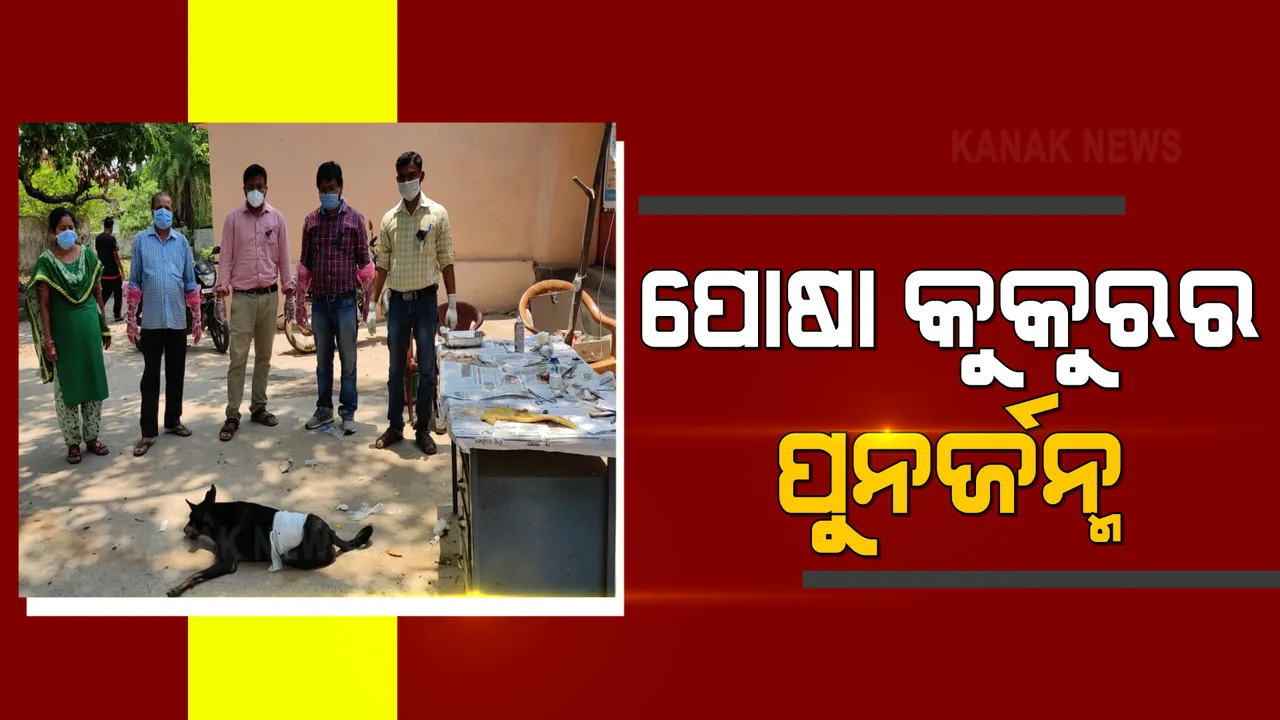  ରଖେ ହରି ତ ମାରେ କିଏ : ୩ ଘଣ୍ଟା ଜୀବନ ମୃତ୍ୟୁର ସଂଘର୍ଷ ଭିତରେ ବଂଚିଗଲା ପୋଷା କୁକୁର , ସଫଳ ହେଲା ଅସ୍ତ୍ରୋପଚାର