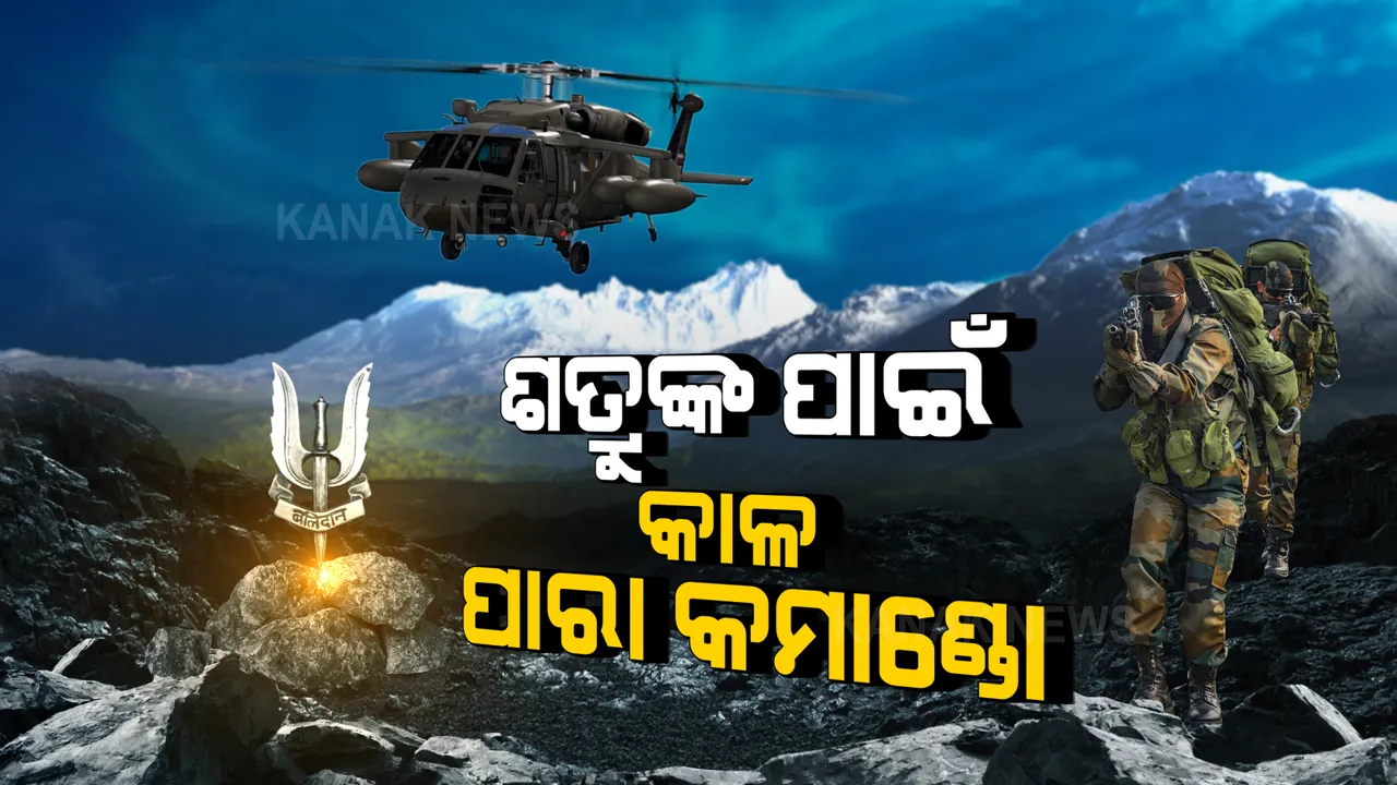  ଭାରତୀୟ ସେନାରେ ପାରା କମାଣ୍ଡୋଙ୍କ ଭୂମିକା କଣ??? କେତେ କଠିନ ହୋଇଥାଏ ପାରା କମାଣ୍ଡୋ ଟ୍ରେନିଂ?? ଜାଣନ୍ତୁ....