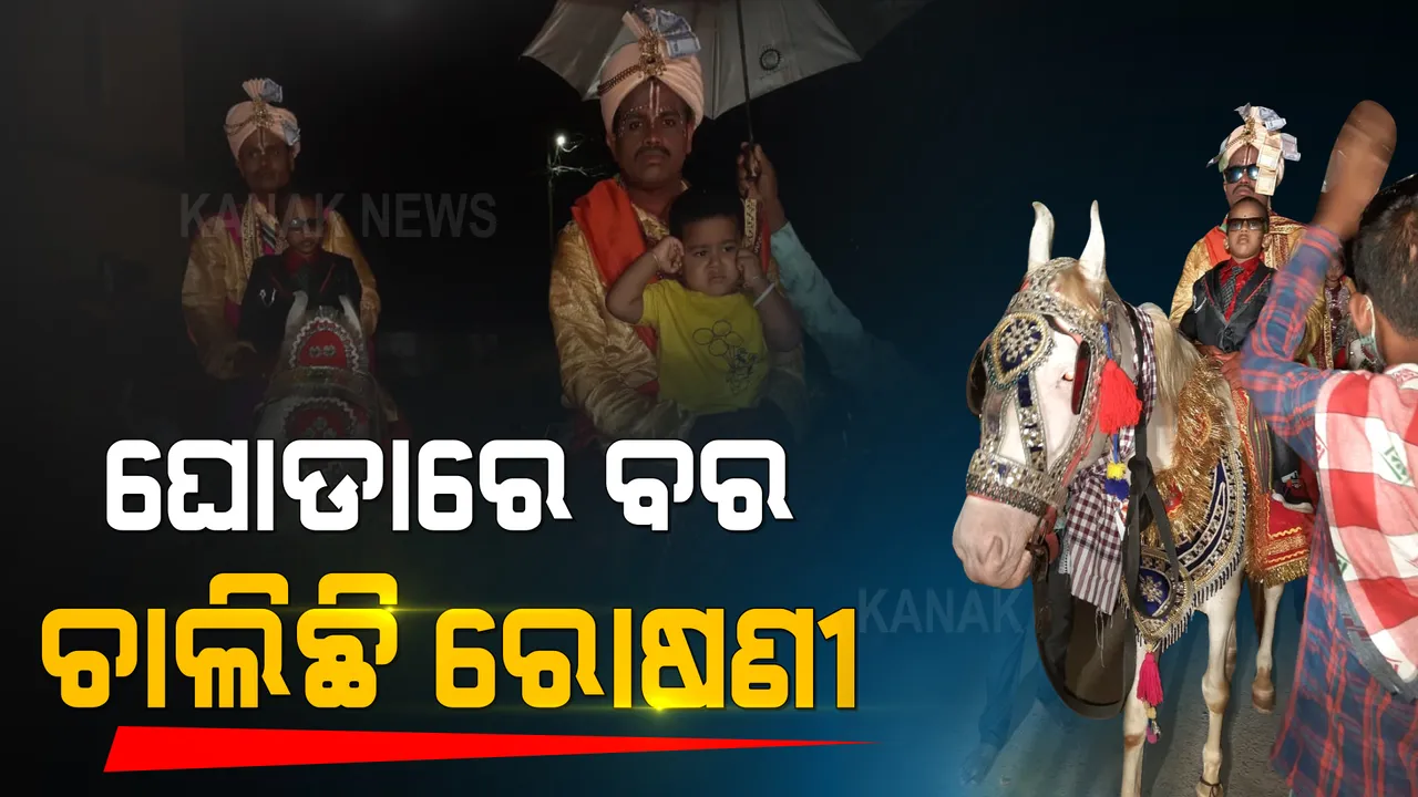  ପ୍ରଶାସନିକ କଟକଣାକୁ ମାନୁନାହାନ୍ତି ଅମାନିଆ : ବେଧଡକ ଚାଲିଛି ବିବାହ ପ୍ରୋସେସନ; ଘୋଡାରେ ବସାଇ ବରଯାତ୍ରୀ ଯାଉଥିବା ବେଳେ ବରକୁ ଉଠାଇନେଲା ପ୍ରଶାସନ