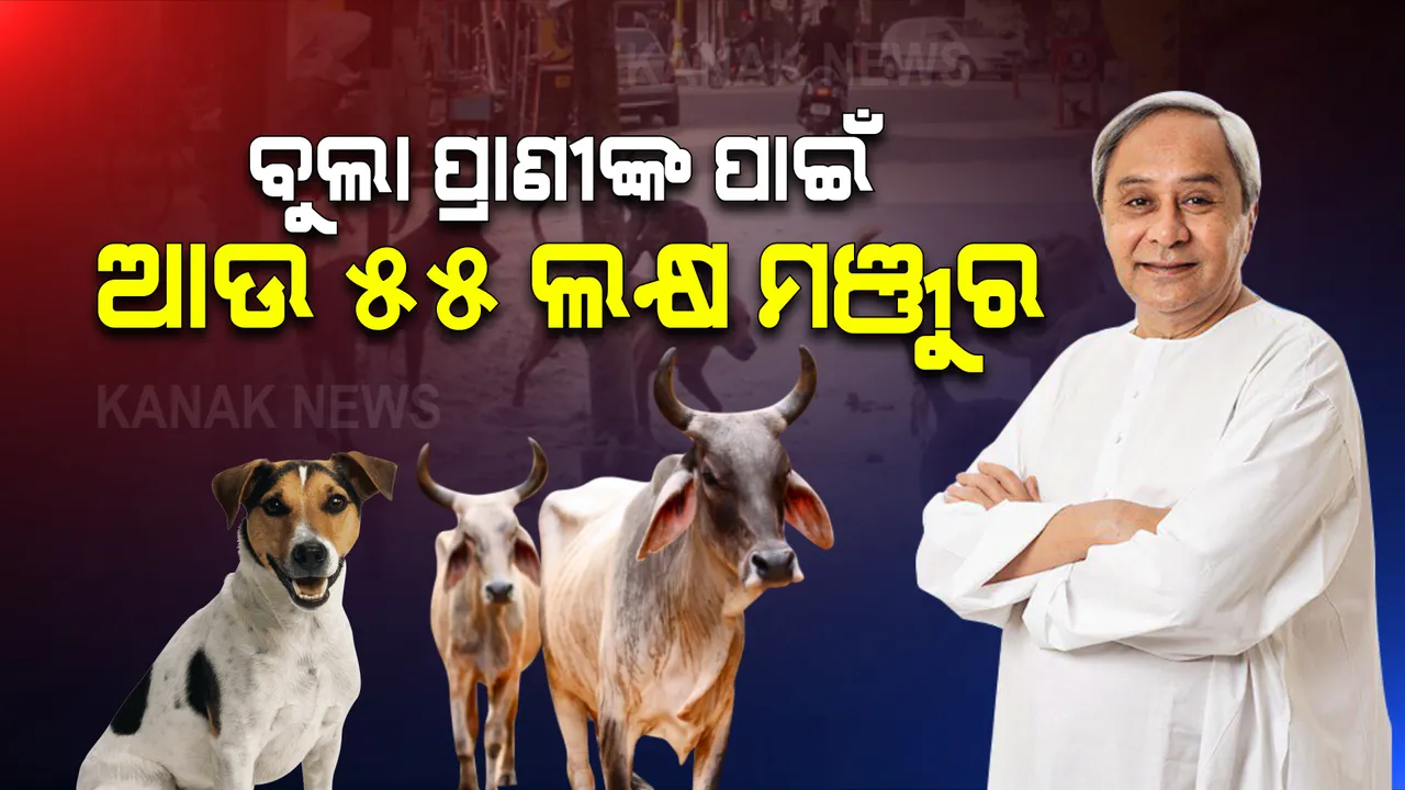  ବୁଲା ଗାଈଗୋରୁ ଓ କୁକୁରଙ୍କ ପାଇଁ ୫୫ଲକ୍ଷ ଟଙ୍କା ସହାୟତା : ଦ୍ୱିତୀୟ ପର୍ଯ୍ୟାୟରେ ମୁଖ୍ୟମନ୍ତ୍ରୀଙ୍କ ରିଲିଫ ପାଣ୍ଠିରୁ ସହାୟତା ମଞ୍ଜୁର