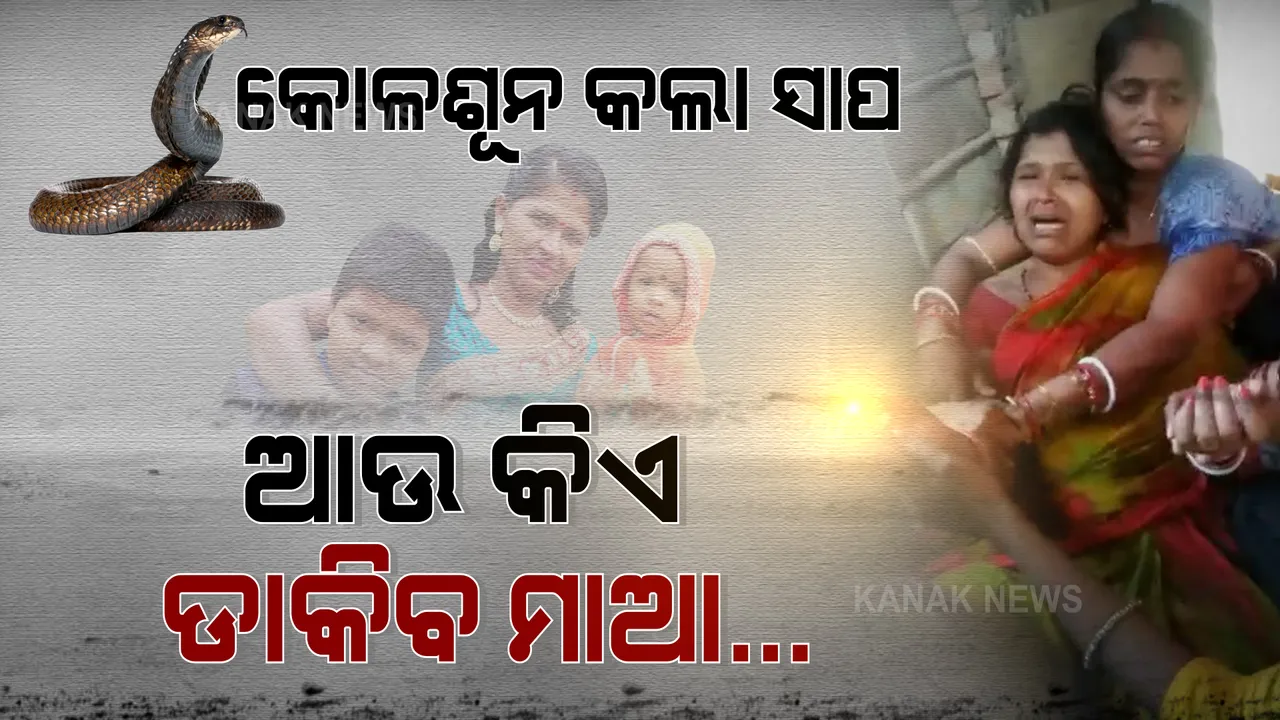  ସାପ କାମୁଡାରେ ଆଖି ବୁଜିଲେ ପୁଅଝିଅ । ଗୋଟିଏ ଶେଯରେ ଶେଷ ନିଦ୍ରାରେ ଶୋଇଗଲେ ଭାଇଭଉଣୀ । ମାତୃ ଦିବସର ଦିନକ ପୂର୍ବରୁ ମାଆଠୁ ଛୁଆଙ୍କୁ ଛଡାଇନେଲା ନିଷ୍ଠୁର ବିଧାତା ।