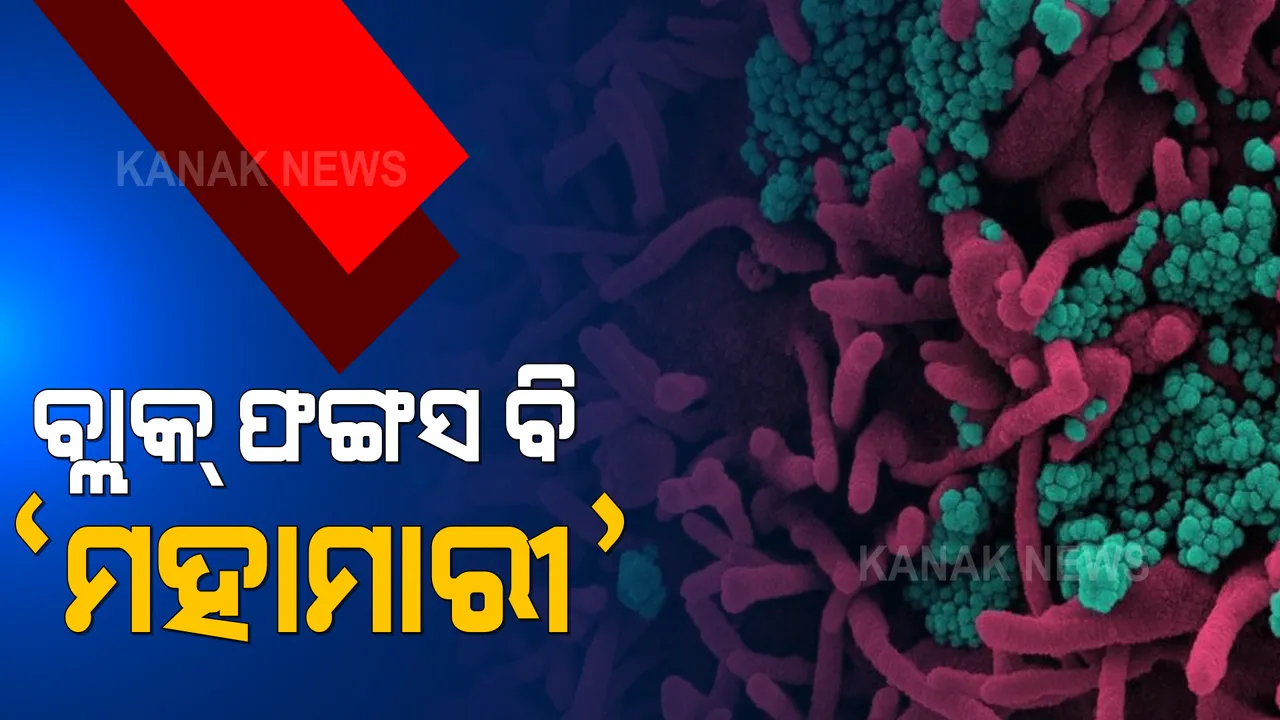  ବ୍ଲାକ୍ ଫଙ୍ଗସକୁ ନେଇ ବଢ଼ୁଛି ଚିନ୍ତା । ମହାମାରୀ ବୋଲି ଘୋଷଣା କଲେ ରାଜସ୍ଥାନ ସରକାର ।