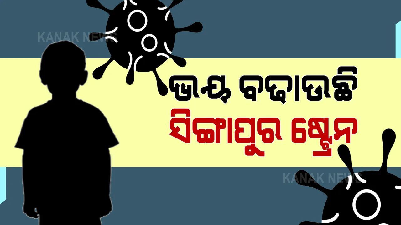  ଆସୁଛି ସିଙ୍ଗାପୁର ଷ୍ଟ୍ରେନ୍, ଶିଶୁଙ୍କୁ ରଖନ୍ତୁ ସୁରକ୍ଷିତ । ବିଶ୍ୱ ପାଇଁ ବିପଦ ଆଣିପାରେ ଭୂତାଣୁର ସିଙ୍ଗାପୁର ଷ୍ଟ୍ରେନ । ଛୋଟ ପିଲାଙ୍କ ପାଇଁ ଅଧିକ ଭୟଙ୍କର ଆଶଙ୍କା ।