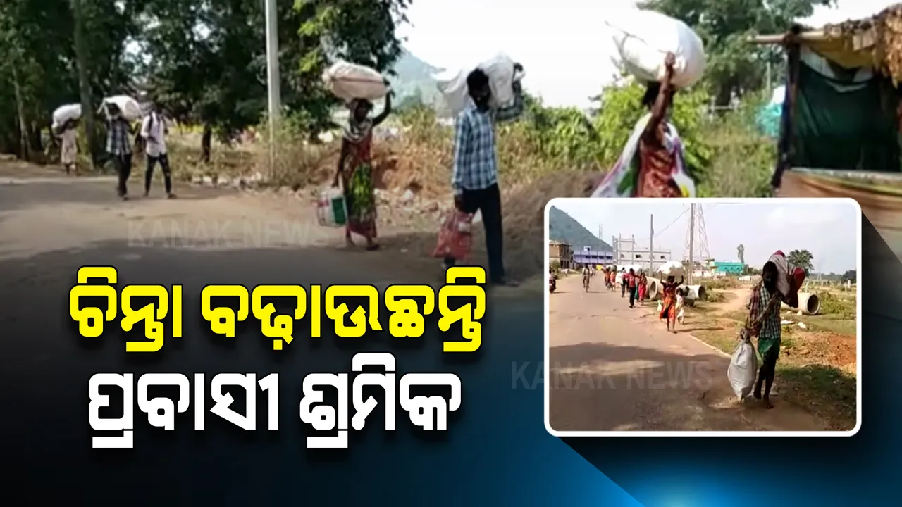  ସୀମାରେ ଜଗିଛି ପୁଲିସ, ଗଳାବାଟ ଦେଇ ଗାଁକୁ ଫେରୁଛନ୍ତି ପ୍ରବାସୀ । କୋରାପୁଟ ବୈପାରୀଗୁଡା ବ୍ଲକର ଗ୍ରାମାଂଚଳରେ ଚିନ୍ତା ବଢାଉଛନ୍ତି ପ୍ରବାସୀ ଶ୍ରମିକ ।
