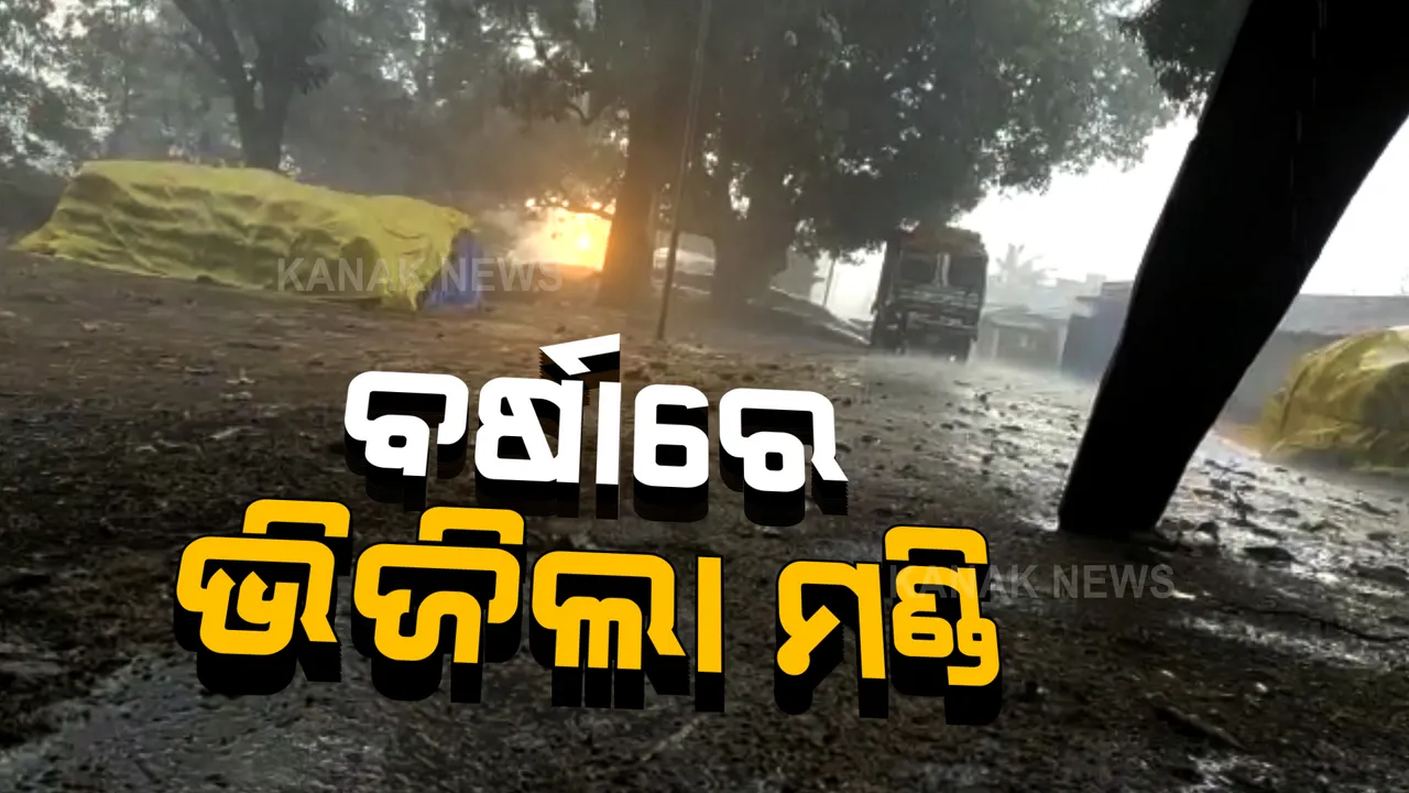  କାଳବୈଶାଖୀ ବର୍ଷାରେ ଭିଜିଲା କଳାହାଣ୍ଡିରେ ମଣ୍ଡି ଓ ଖଳା । ବିକ୍ରି ପାଇଁ ମଣ୍ଡିରେ ଥିବା ଧାନ ବସ୍ତା ବର୍ଷାରେ ହୋଇଗଲା ଓଦା ।