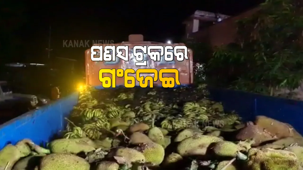  ପଣସ ବୋଝେଇ ଗାଡିରୁ ଗଞ୍ଜେଇ ଜବତ : ପାଟ୍ରୋଲିଂ ବେଳେ ଜବତ କଲା ଲମତାପୁଟ ଓ ମାଛକୁଣ୍ଡ ପୋଲିସ