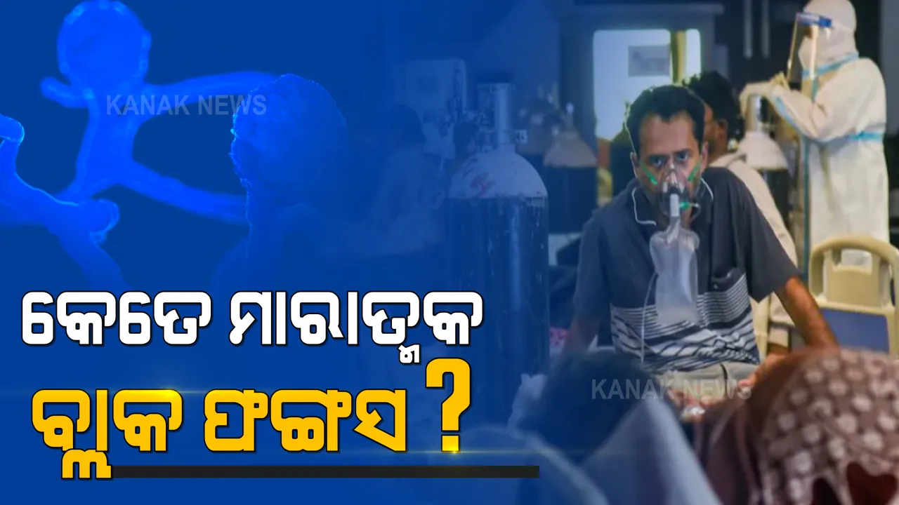  ଭୟ ବଢ଼ାଉଛି କରୋନା ସଂକ୍ରମିତଙ୍କ ଠାରେ ନୂଆ ଲକ୍ଷଣ : କେତେ ମାରାତ୍ମକ ବ୍ଲାକ ଫଙ୍ଗସ ? ବିଶେଷଜ୍ଞ ଡାକ୍ତର କହିଲେ କାରଣ, ଲକ୍ଷଣ ଓ ନିରାକରଣ