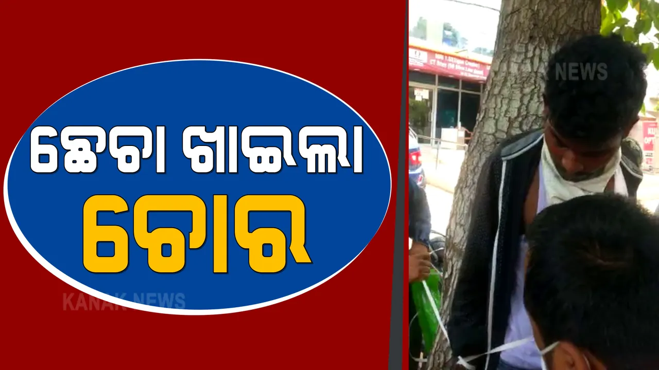  ରାଜଧାନୀରେ ଚେନ ଛିଣ୍ଡାଇ ଚମ୍ପଟ ମାରୁଥିବା ବେଳେ ଧରାପଡିଗଲା ଲୁଟେରା : ନିସ୍ତୁକ ମାଡ ମାରି ଗଛରେ ବାନ୍ଧି ପକାଇଲେ ଲୋକେ