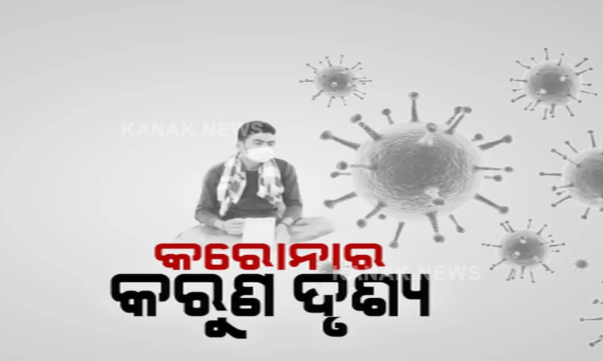  ରାଜ୍ୟର ବିଭିନ୍ନ ସ୍ଥାନରୁ ଆସିଲା କରୋନାର କରୁଣ ଚିତ୍ର । ଘରେ ଜାଗା ନଥିବାରୁ ଗଛ ମୂଳେ ସଂଗରୋଧରେ ରହିଲେ ଯୁବକ । କରୋନା ସନ୍ଦେହରେ ମୃତ୍ୟୁ ପାଇଁ ପାଖ ମାଡିଲେନି ସାହିପଡିଶା ।