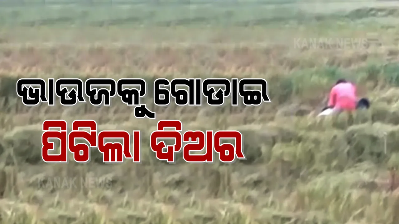  ପାରିବାରିକ କଳିର ଅଶୋଭନୀୟ ଚିତ୍ର : ଧାନ କ୍ଷେତରେ ଭାଉଜକୁ ଗୋଡାଇ ପିଟିଲା ଦିଅର