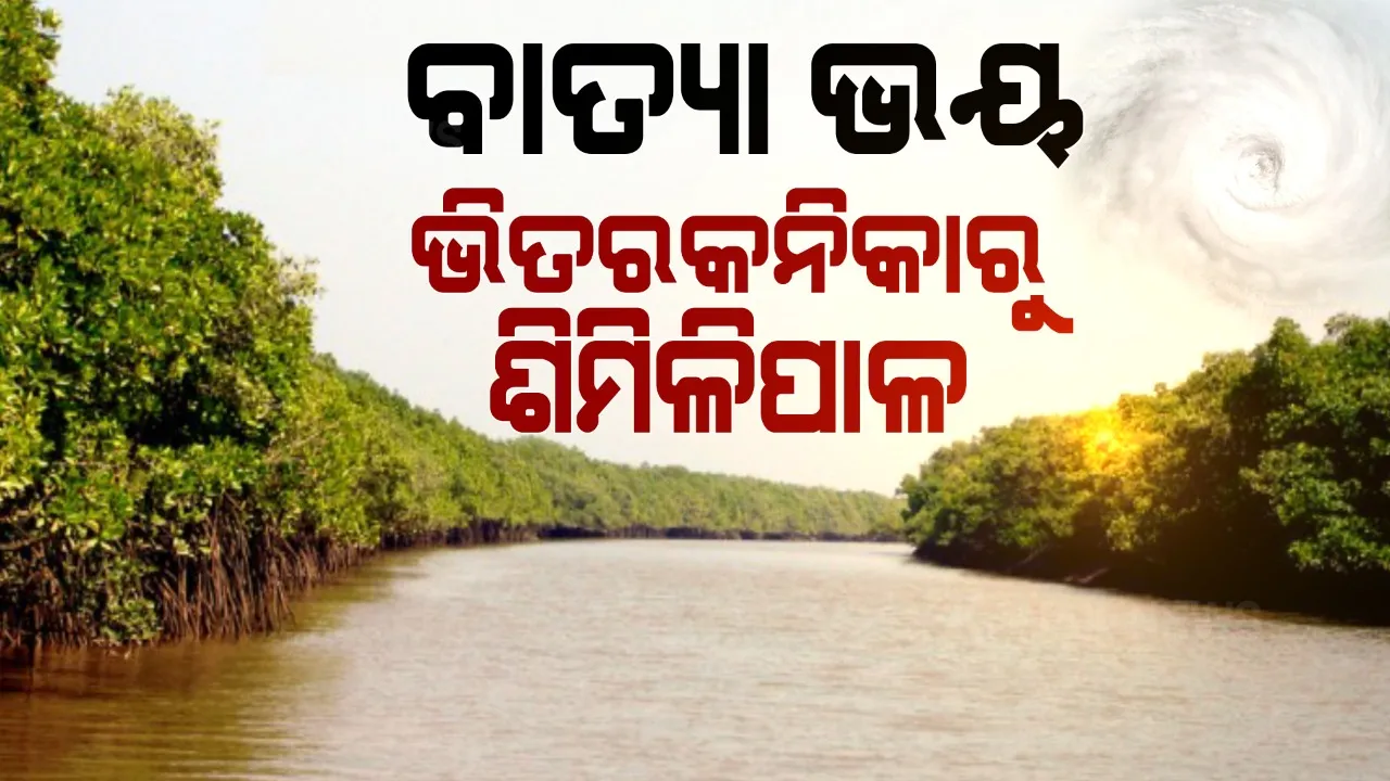  ଓଡ଼ିଶାର ଦୁଇ ଜୈବ ମଣ୍ଡଳକୁ ବାତ୍ୟା ବଡ଼ ବିପଦ । ଲ୍ୟାଣ୍ଡଫଲ ସମୟରେ ଭିତରକନିକାରେ ପଡ଼ିପାରେ ବାତ୍ୟାର ବଡ଼ ପ୍ରଭାବ । ସେପଟେ ଲ୍ୟାଣ୍ଡଫଲ ପରେ ଶିମିଳିପାଳ ଅଭୟାରଣ୍ୟ ଦେଇ ଗତି କରିବ ବାତ୍ୟା