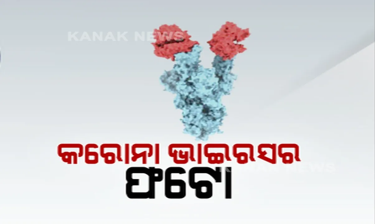  କେମିତି ଦେଖାଯାଏ ନୂଆ କରୋନା ଭାଇରସ ? କାନାଡା ବିଶେଷଜ୍ଞ ଜାରି କଲେ ନୂଆ ମ୍ୟୁଟାଣ୍ଟର ଚିତ୍ର, କହିଲେ ଛୁଞ୍ଚି ମୁନର ଏକ ଲକ୍ଷରୁ ଏକ ଭାଗ ହେଉଛି ଆକାର ।