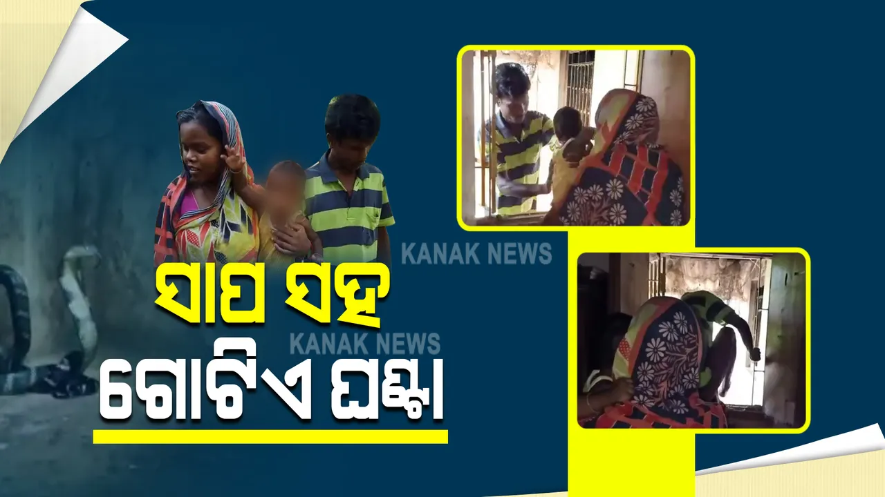  ଦମ୍ପତିଙ୍କୁ ଘେରିଲା ଅହିରାଜ : ଘଂଟାଏ ଧରି ଦୁଆର ମୁହଁରେ ଫଣା ଟେକି ରହିବାରୁ ଝରକା ଭାଙ୍ଗି ବାହାରିଲେ ଦମ୍ପତି; ବିଷଧର ସାପକୁ ଧରିବା ପାଇଁ ସ୍ୱାମୀଙ୍କ ସହ ପହଂଚିଲେ ସ୍ତ୍ରୀ ସସ୍ମିତା