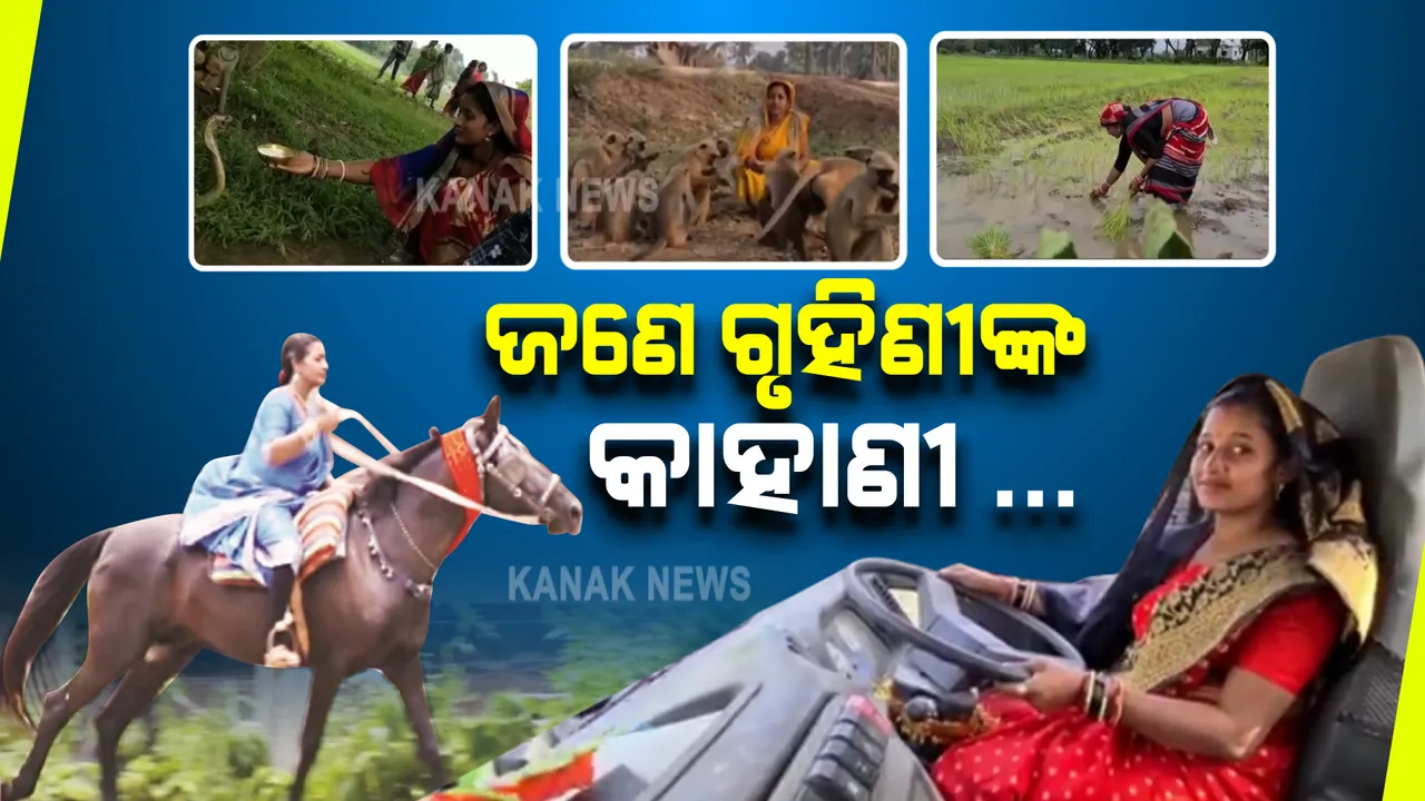  ଜଣେ ଗୃହିଣୀଙ୍କ କାହାଣୀ : ସେ ବସ୍ ଚଳାଇ ପାରନ୍ତି...ଘୋଡା ଚଢି ପାରନ୍ତି; ୟୁଟ୍ୟୁବରୁ ମାସକୁ ରୋଜଗାର ଦେଢ଼ଲକ୍ଷ