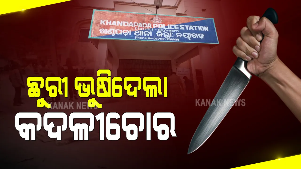  ଛୁରୀ ଭୁଷିଦେଲା କଦଳୀ ଚୋର : ନୟାଗଡ ଖଣ୍ଡପଡାର କାଦୁଆ ଗାଁରେ ଅଘଟଣ; ଆକ୍ରମଣରେ ବଡ ଭାଇ ମୃତ, ସାନଭାଇ ଗୁରୁତର