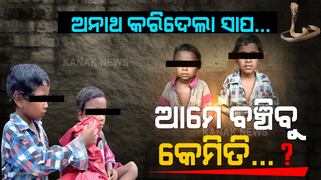  ସାପ କାମୁଡାରେ ଆଖି ବୁଜିଲା ମାଆ, ଅନାଥ ହୋଇଗଲେ ଦୁଇ ଛୁଆ... ପୂର୍ବରୁ ପରପାରିକୁ ଚାଲି ଯାଇଥିଲେ ବାପା, ଏବେ ମାଆକୁ ଛଡାଇ ନେଲା ନିଷ୍ଠୁର ବିଧାତା ।